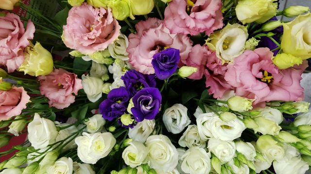 Bouquet de lisianthus