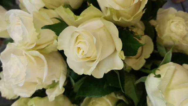 Bouquet de roses Blanches