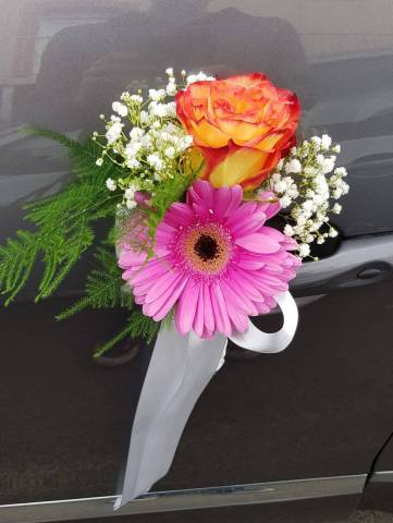 Poign�e de voiture